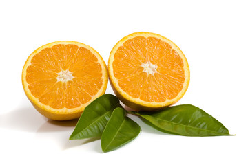 Oranges isolated on white