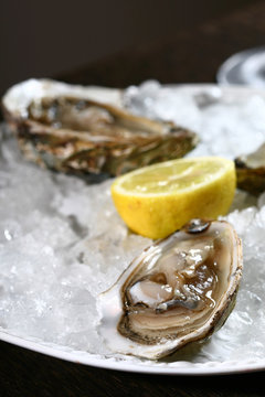 sea food