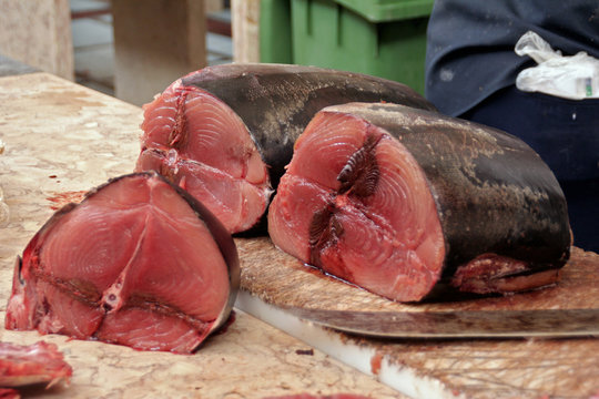 Thunfisch-Filet