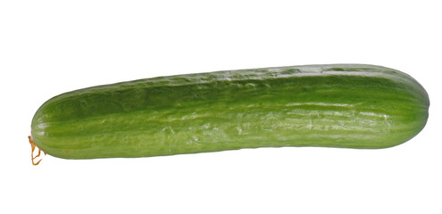 Fresh cucumber isolated on white background