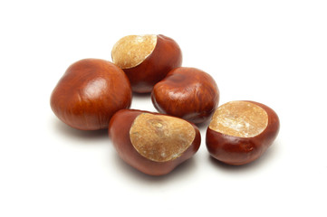 Autumn conkers