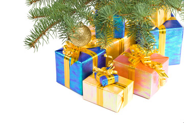 Fototapeta na wymiar Various gift boxes and fur-tree branch on a white background