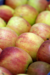 Apples