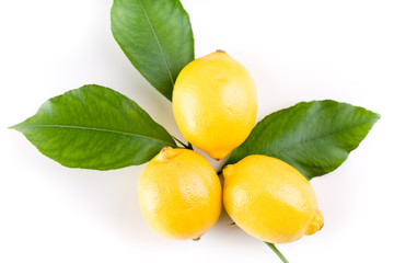 3 gelbe Zitronen mit drei Zitronenblättern