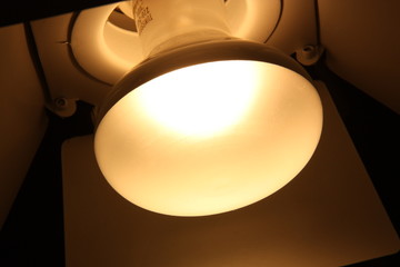Studiolampe