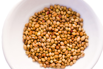 coriander seeds in white porcelain bowl on white background