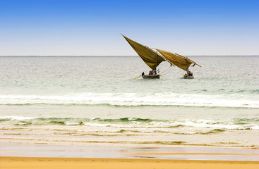 two traditional arabic fishing dhows  in Mozambique - 9910345