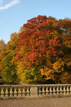 Indian summer