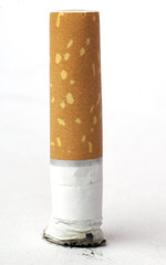 cigarette on white background