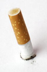 Obraz premium cigarette on white background