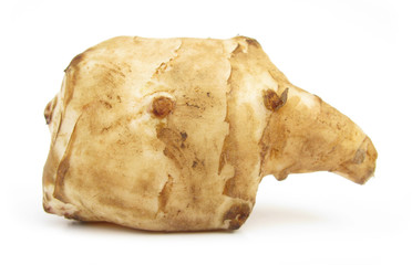 Fototapeta premium Jerusalem artichoke sunroot sunchoke tuber