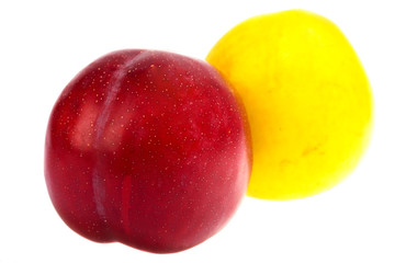 two big plums isolated on the white background