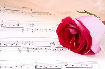 flowers and notes