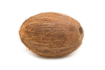 one coconut on white background