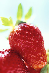 big red strawberry with green leaves covered by  sunlight