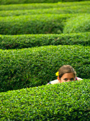 A girl with a flower in her hair, hiding in a maze