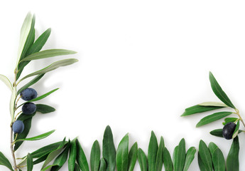 Cornice Olive © Alessio Cola