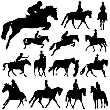 horses and riders