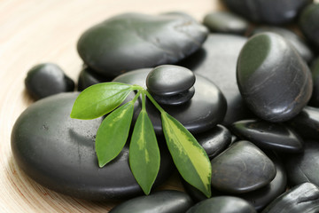 Obraz na płótnie Canvas black pebbles and green leaves - beauty treatment