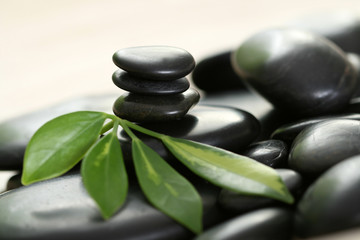 Fototapeta premium black pebbles and green leaves - beauty treatment