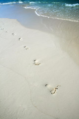 imprint san on white sand