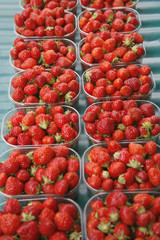 Display of fresh red strawberries in market in France