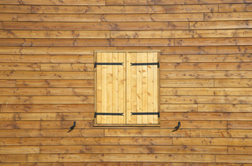 Fototapeta na wymiar wooden house wall and shutters as a background