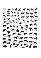 big collection of vector silhouettes of various animals