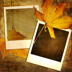 autumn background with polaroid frames