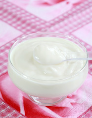 Fototapeta na wymiar White yougurt in the bowl - low calorie eating