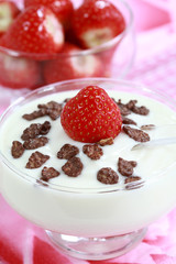 White yougurt in the bowl with strawberries