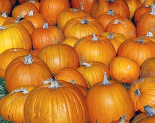 Pumpkins