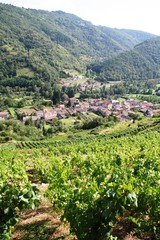 Fototapeta na wymiar Vignes tarasy pl (słomki) do Molompize, Cantal