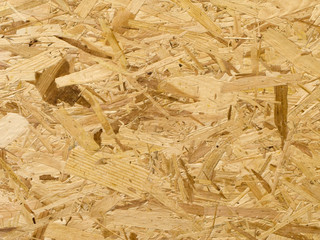Splinter wood background and texture.