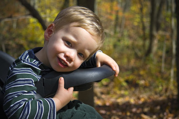 Happy boy sitting in stroller with autumn outdoor background