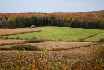 Fototapeta premium lone isolated house in a field in autumn