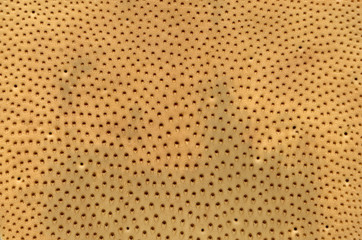 Texture of boiled cow tongue skin (inside skin layer)