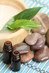 bowl of pure water and green leaves - beauty treatment