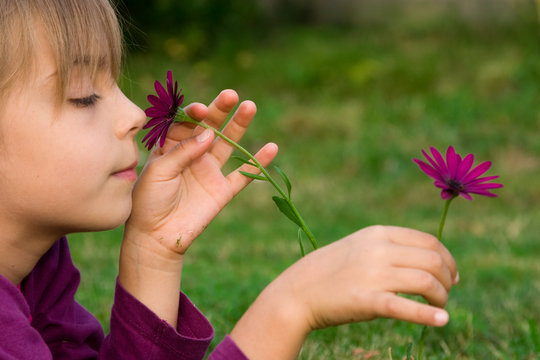 petite fille cueillant des fleurs violettes