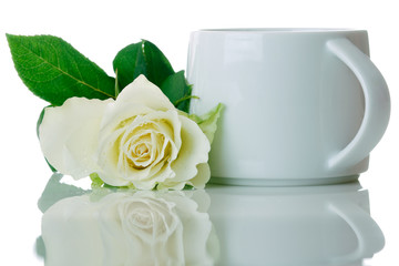 White cup with white rose isolated on white background