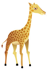 Giraffe Vector