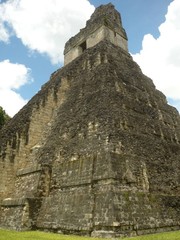 tikal 22