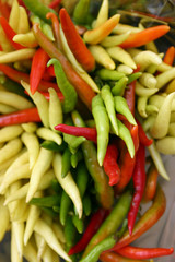 A large colorful bunch of chili peppers