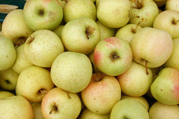 A large group of golden delicious apples