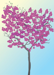 pink tree on blue