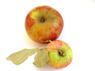 Äpfel