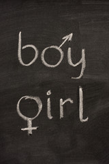 Fototapeta premium boy and girl words with gender symbols on blackboard