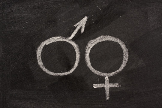 male and female gender symbols on blackboard