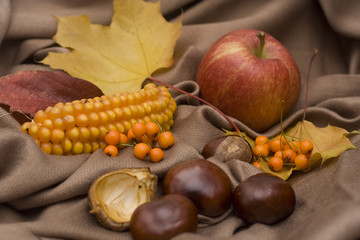 arrangement made of leaves, chestnuts and corncob and apple
