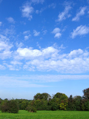 Beautiful summer landscape